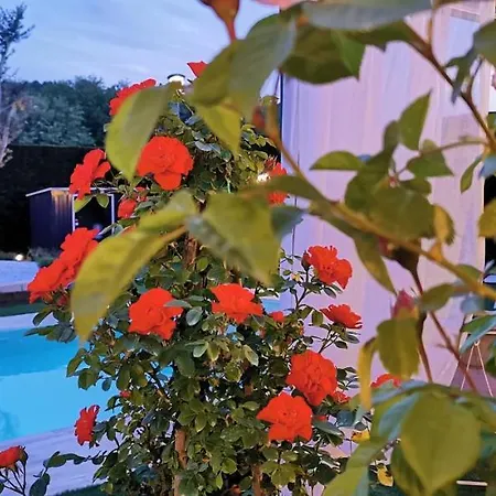 Villa Con Piscina 8 Posti 4 Castelbaldo